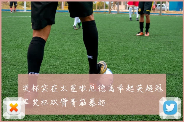 奖杯实在太重啦厄德高举起英超冠军奖杯双臂青筋暴起